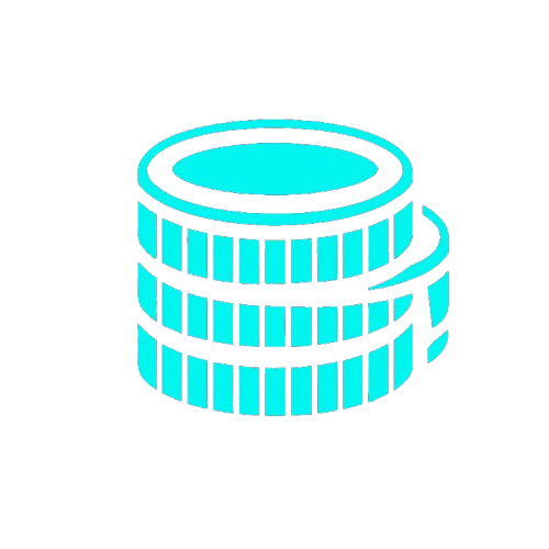 Coin Icon